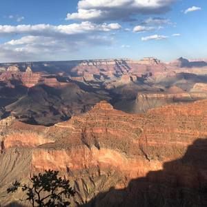 Meet your Posher, Larry